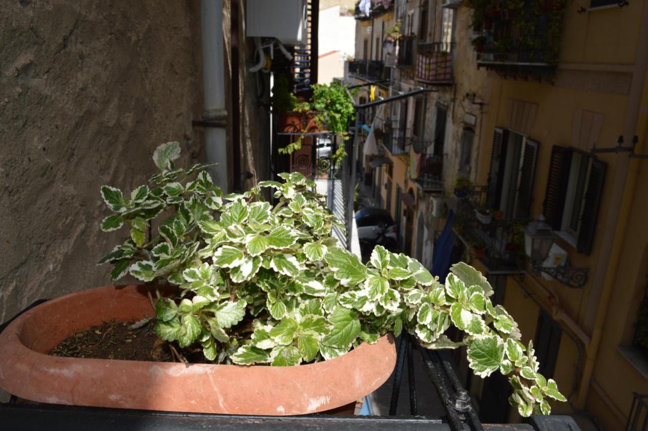 Futtitinni Casamia * Palermo